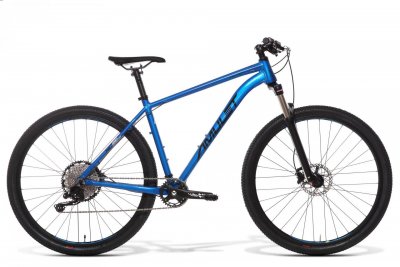  AMULET 29 Rival 4.0 SH, brilliant blue/black, 2024